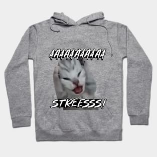 aaaa stresss! Hoodie